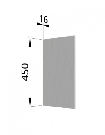 Панель торцевая (для шкафа горизонтального высокого) ВПГ Ройс (Графит софт) в Коченёво - kochenyovo.mebel54.com | фото